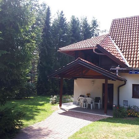 Apartmani U Borovoj Sumi Zlatibor Bagian luar foto