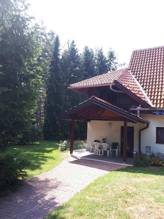 Apartmani U Borovoj Sumi Zlatibor Bagian luar foto